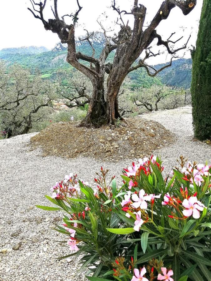 Le Mas Christiane Buis-les-Baronnies Exterior foto