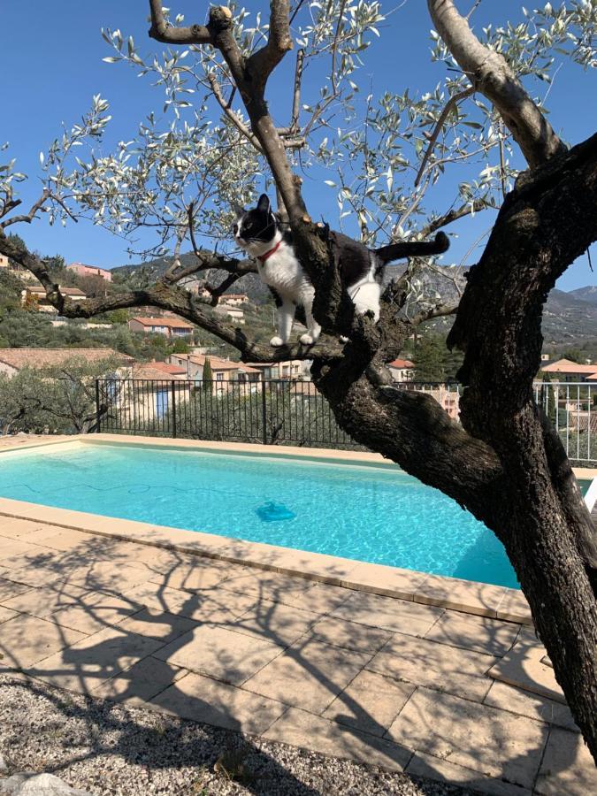 Le Mas Christiane Buis-les-Baronnies Exterior foto